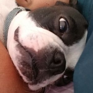 Meet your Posher, Saul